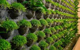 Трава на стене в интерьере